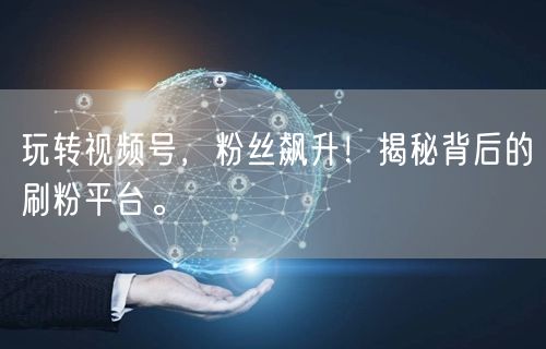 玩转视频号，粉丝飙升！揭秘背后的刷粉平台。