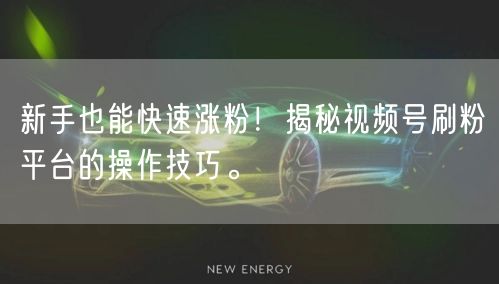 新手也能快速涨粉！揭秘视频号刷粉平台的操作技巧。