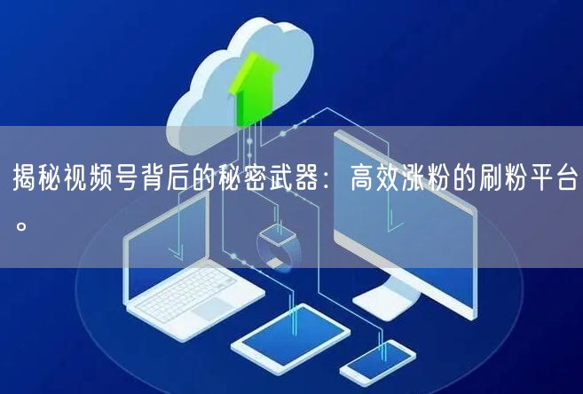 揭秘视频号背后的秘密武器：高效涨粉的刷粉平台。
