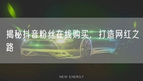 揭秘抖音粉丝在线购买，打造网红之路