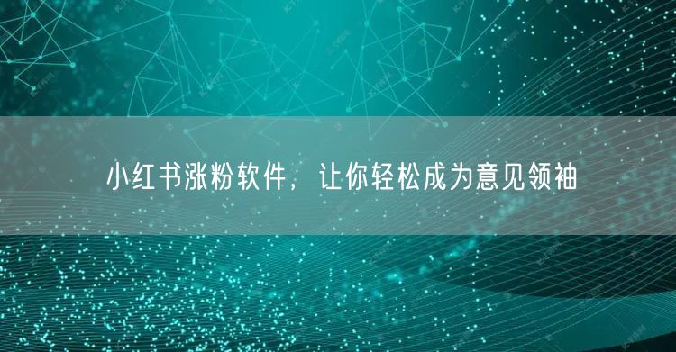 小红书涨粉软件，让你轻松成为意见领袖