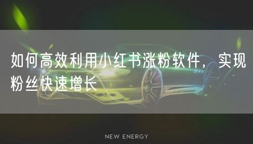 如何高效利用小红书涨粉软件，实现粉丝快速增长