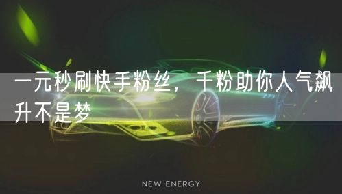 一元秒刷快手粉丝，千粉助你人气飙升不是梦