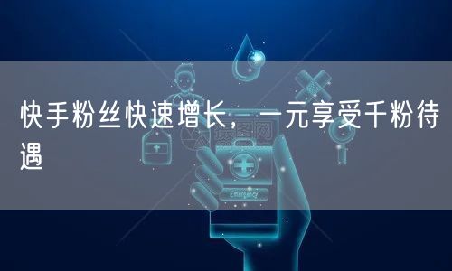 快手粉丝快速增长，一元享受千粉待遇