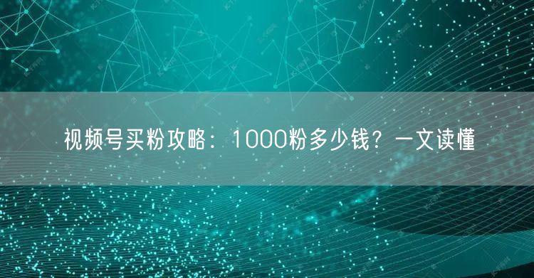 视频号买粉攻略：1000粉多少钱？一文读懂