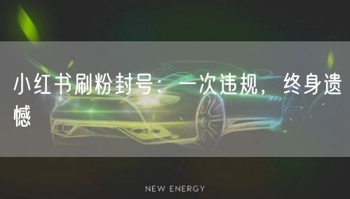 小红书刷粉封号：一次违规，终身遗憾